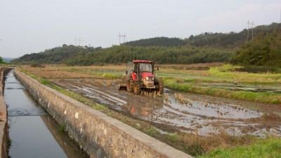 “草皮镇”再造“米粮仓” 湖南省郴州市苏仙区飞天山下的田野充满生机