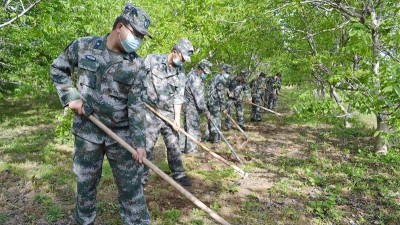 陕西千阳县人民武装部组织机关全体人员开展助农活动