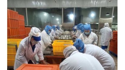 圆满完成集体用餐配送单位风险评估为校园食品安全注入 “ 安心剂”