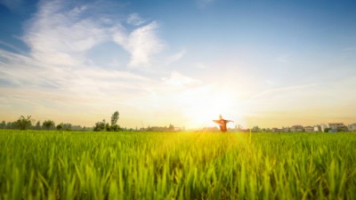 杭州余杭建设高标准农田带来好“钱”景