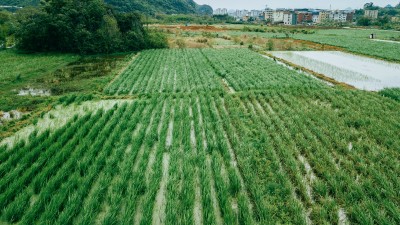 节约集约用地 严守耕地红线