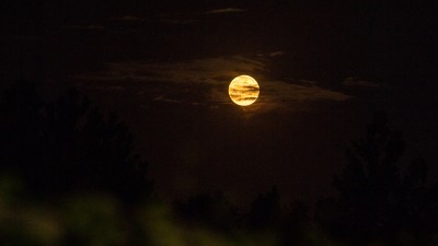 年度“最大满月”亮相夜空