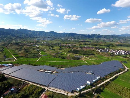 浙江武义打造“菌光互补”香菇生产示范基地