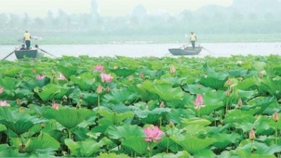 河北保定市：特色文旅绘就乡村振兴生动画卷