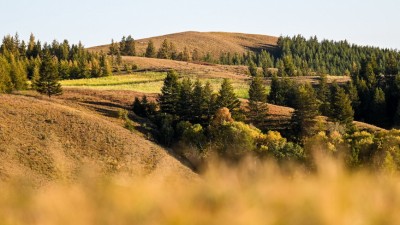 秋染大青山