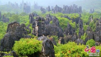 云南石林：秋雨多情洗旧尘 万峰竞秀入画来