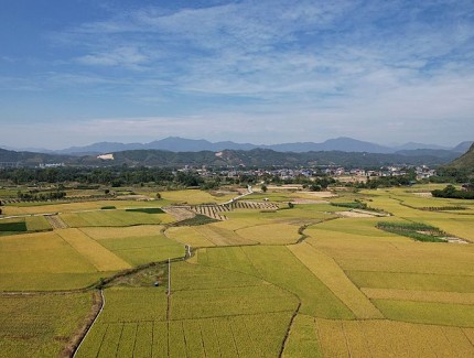 田园“指纹”美如画