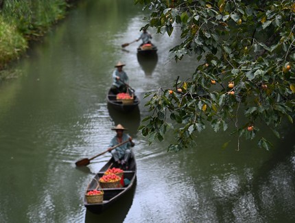 杭州西溪湿地