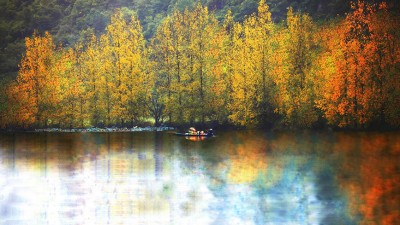 山明水净 层林尽染 候鸟翩跹