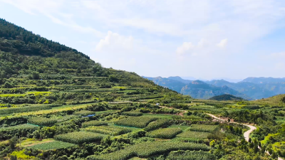 济南南山：为青山绿水镶上金边