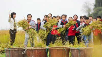 趣味横生的田野运动会