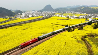 花香伴列车