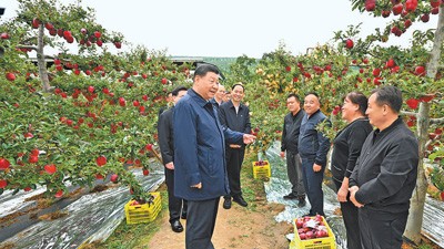 习近平在甘肃考察时强调 深化改革勇于创新苦干实干富民兴陇 奋力谱写中国式现代化甘肃篇章