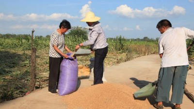 河南省唐河县：志愿服务助“三秋” 助困行动暖人心