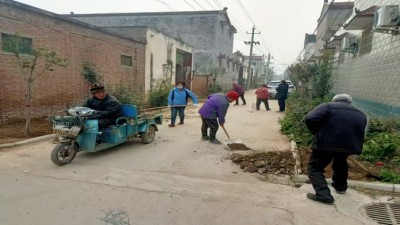 携手并进，共筑美丽乡村——驻村工作队助力人居环境整治