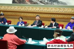 人民领袖：习近平六下团组金句